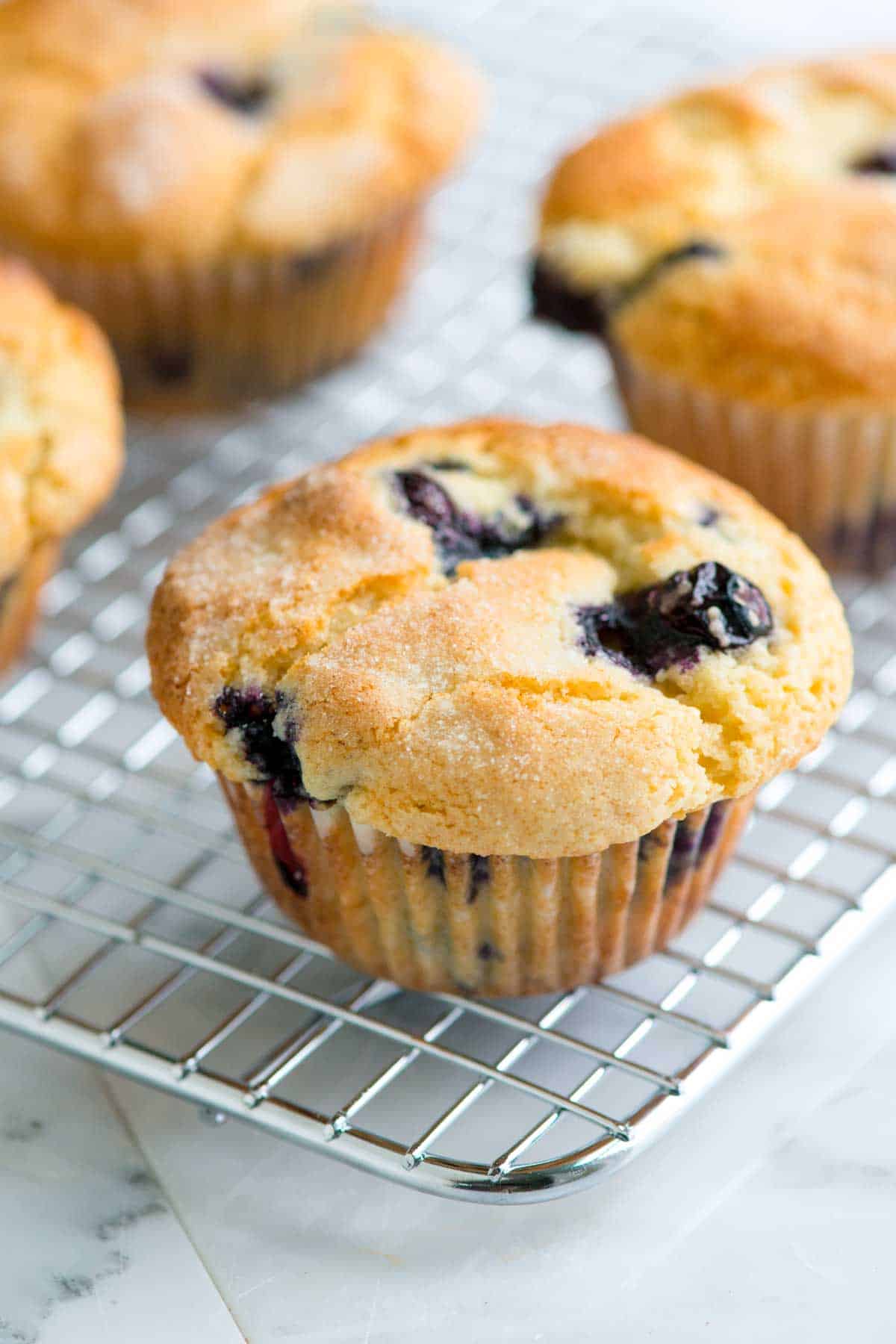 Quick And Easy Blueberry Muffins Recipe