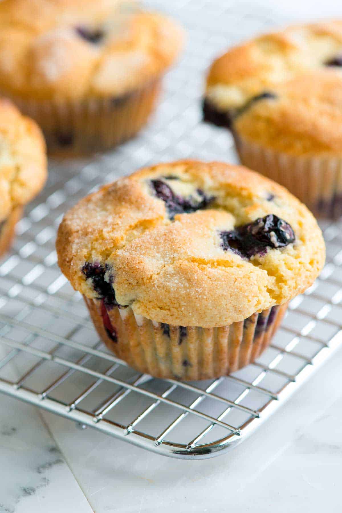 Blueberry Cream Cheese Muffins - Averie Cooks