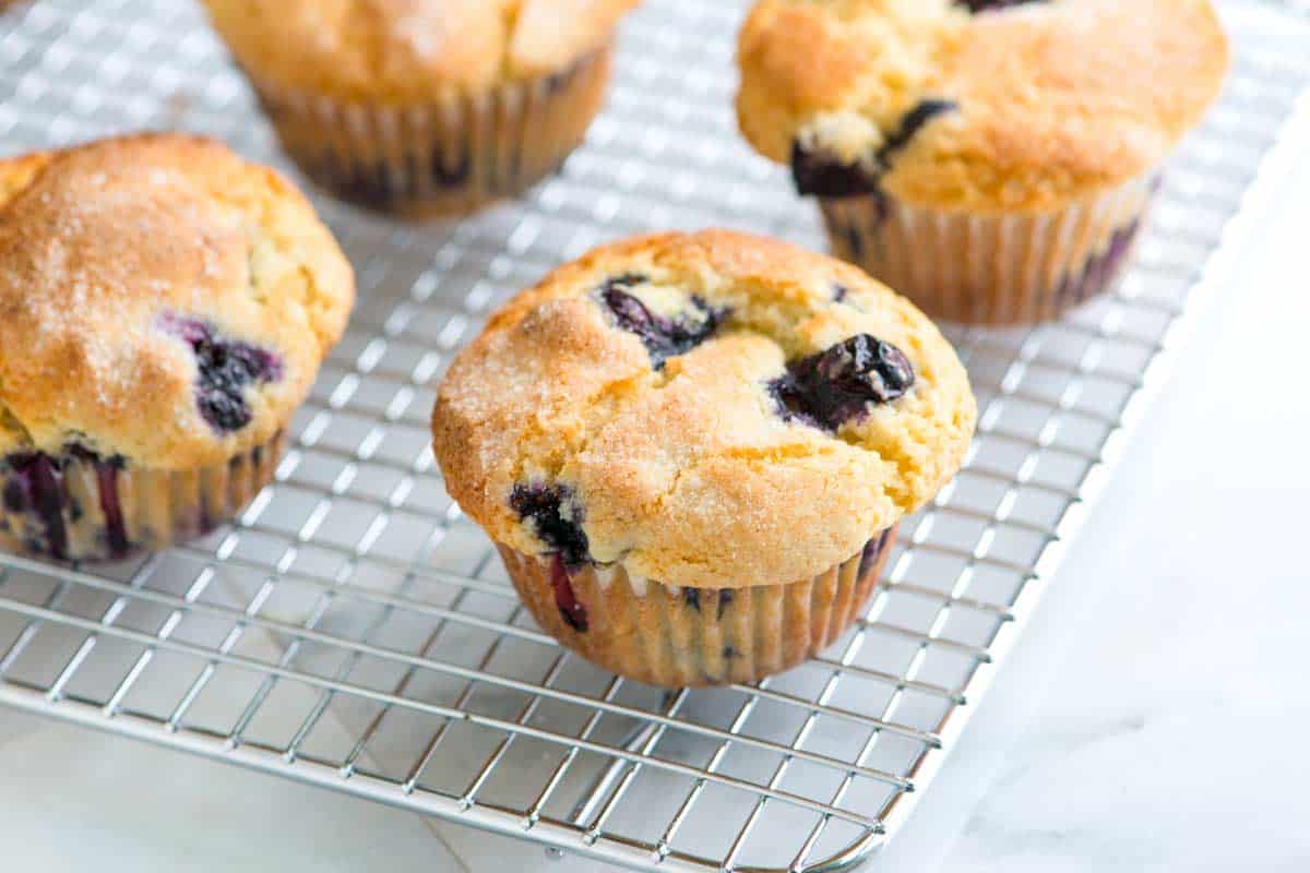 blueberry muffins recipe