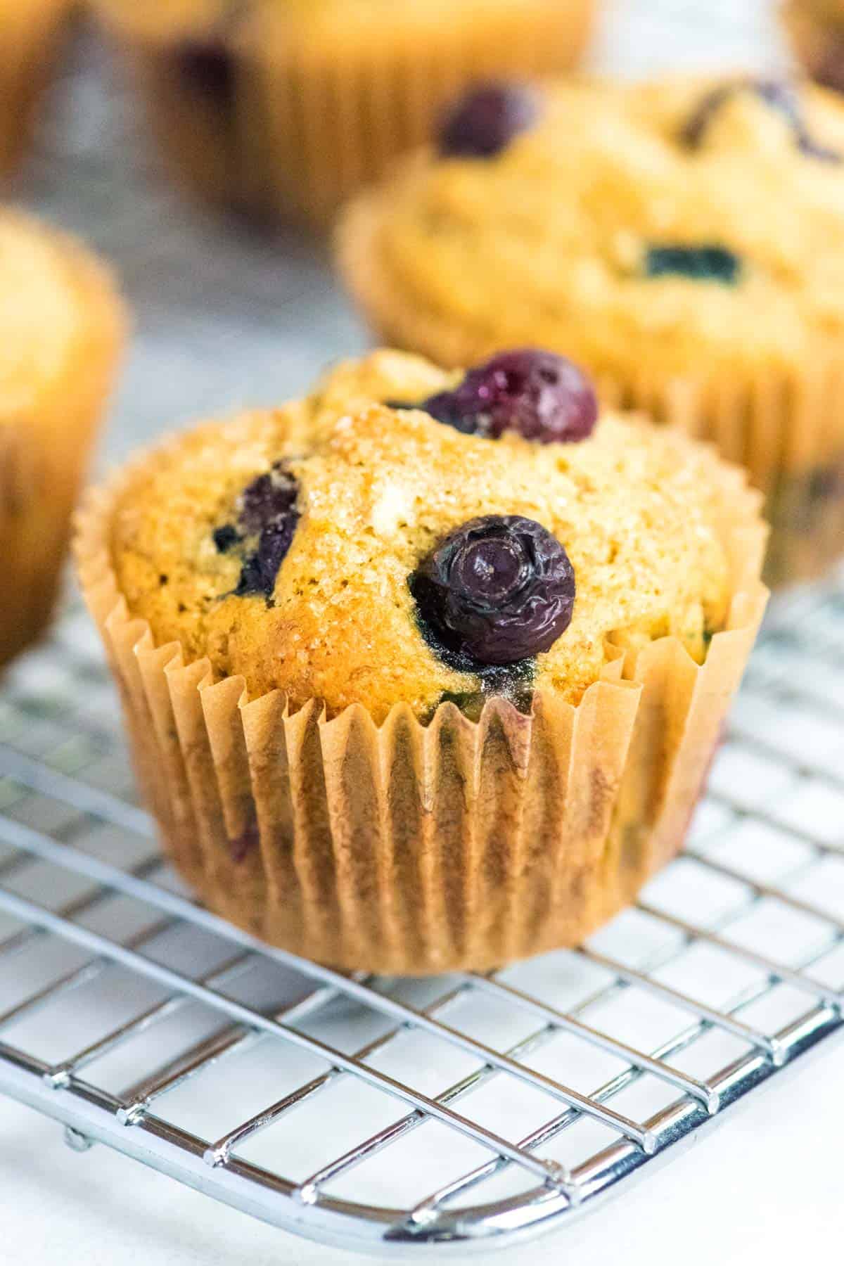 Healthy Banana Blueberry Muffins
