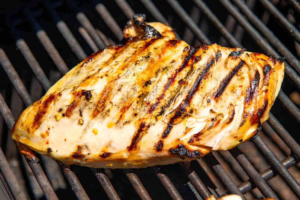 Chicken breast grilled on a barbecue
