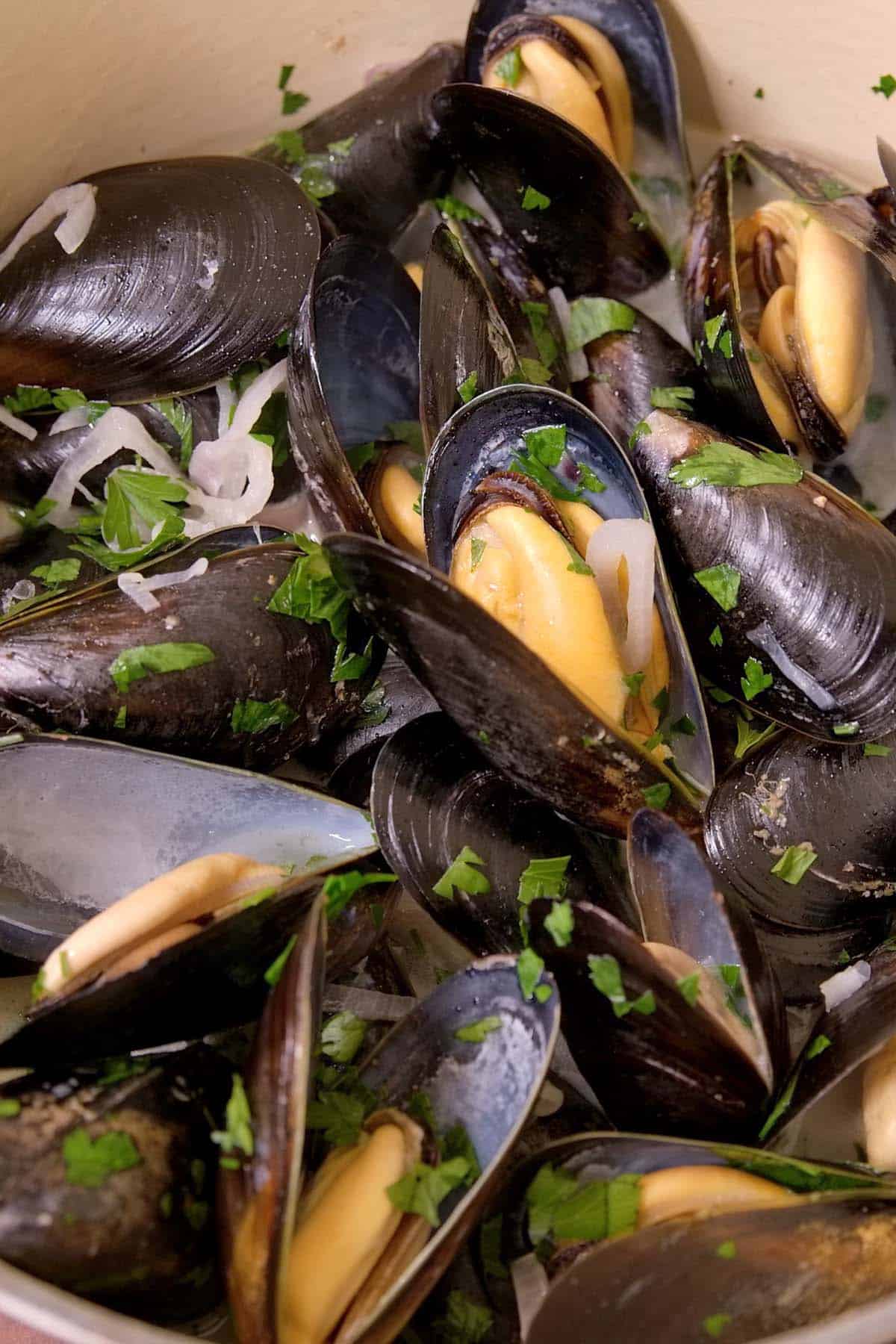 Steamed Mussels with shallots, garlic, parsley and a white wine broth