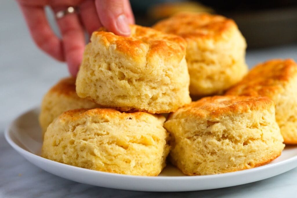 Fluffy biscuit topped with comfort food favorites