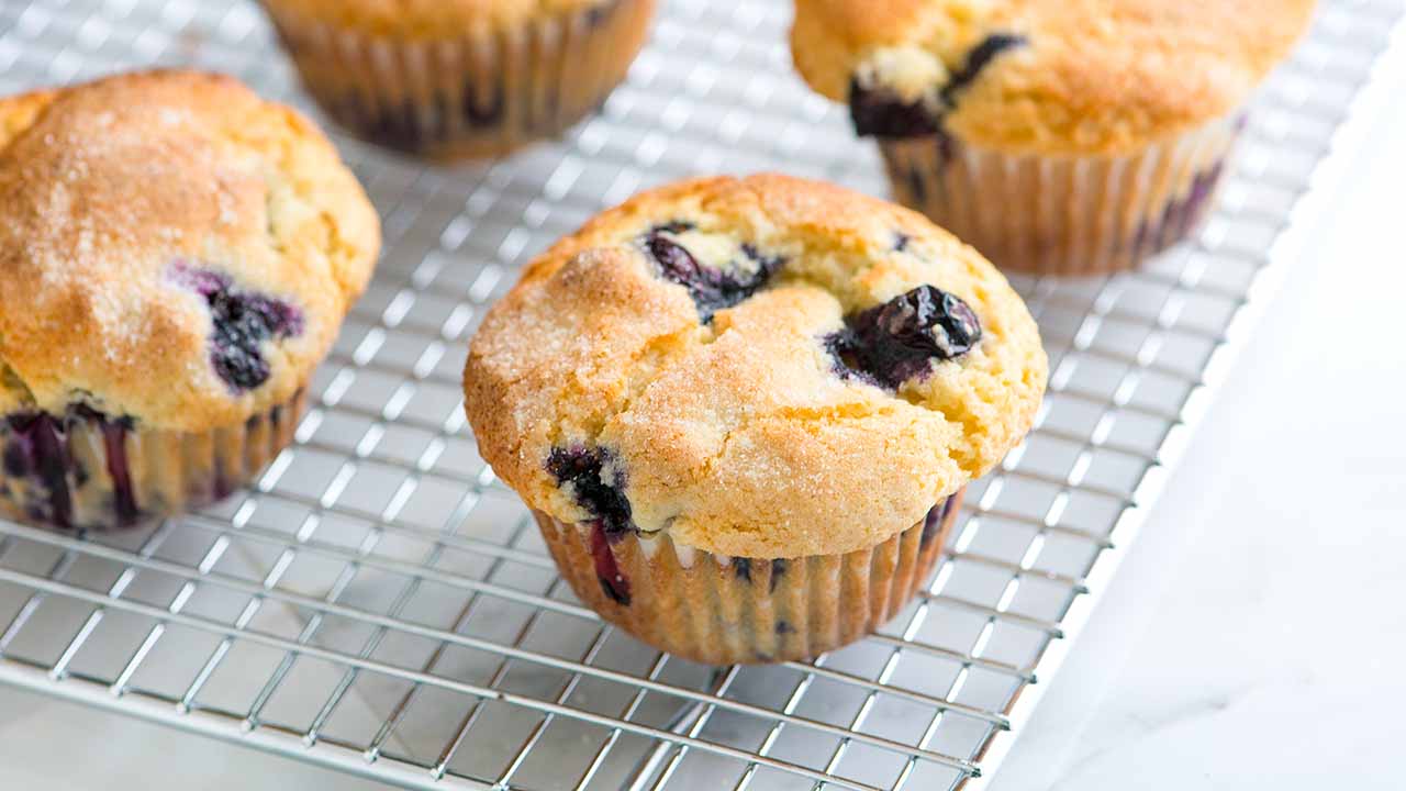 moist blueberry muffins recipe