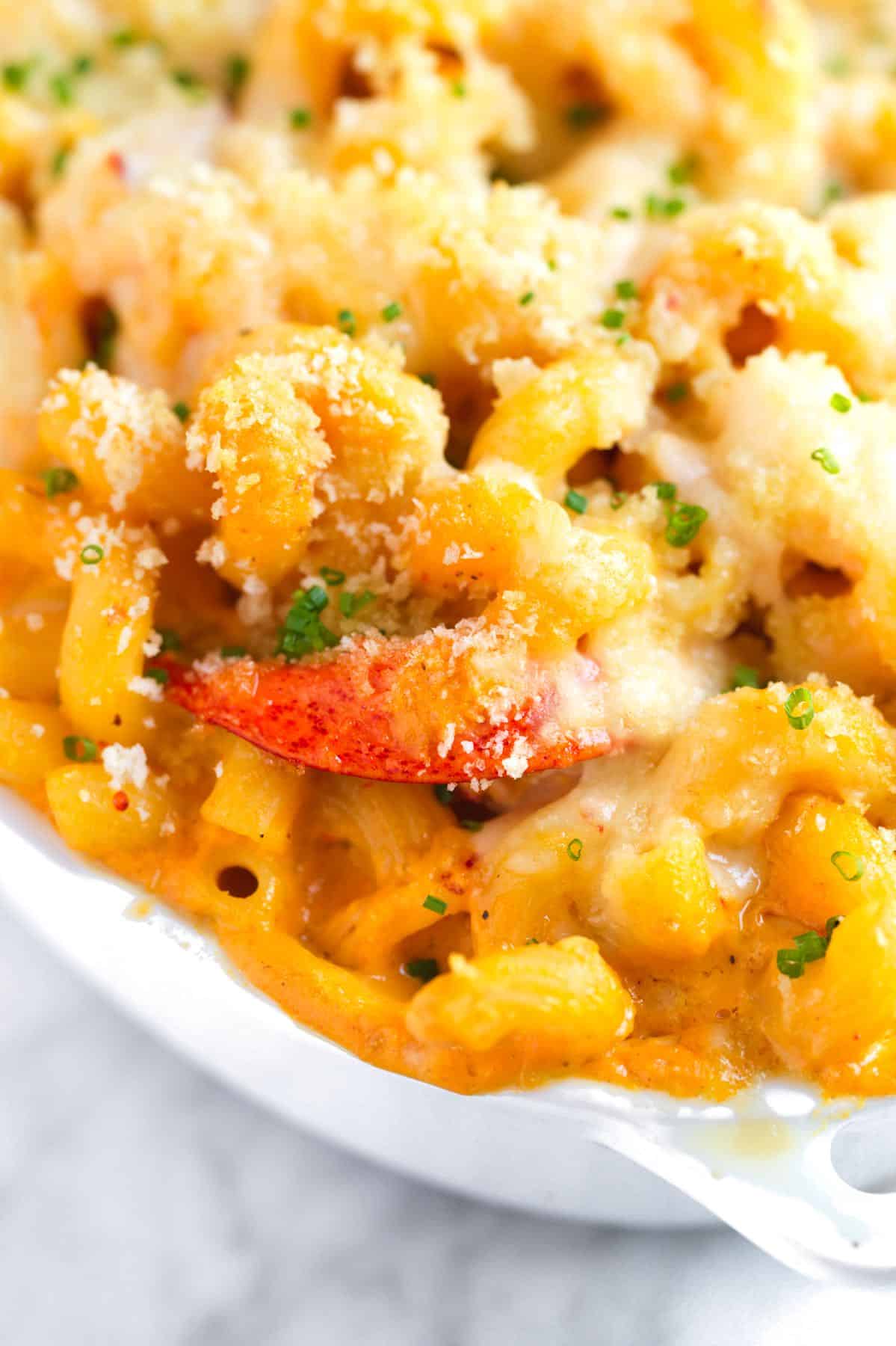 Lobster Mac and Cheese